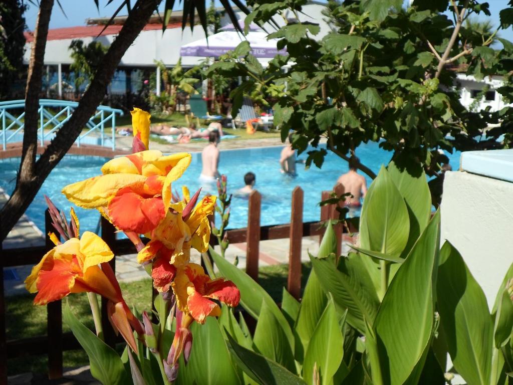 Anatoli Apartments Hersonissos  Exteriör bild